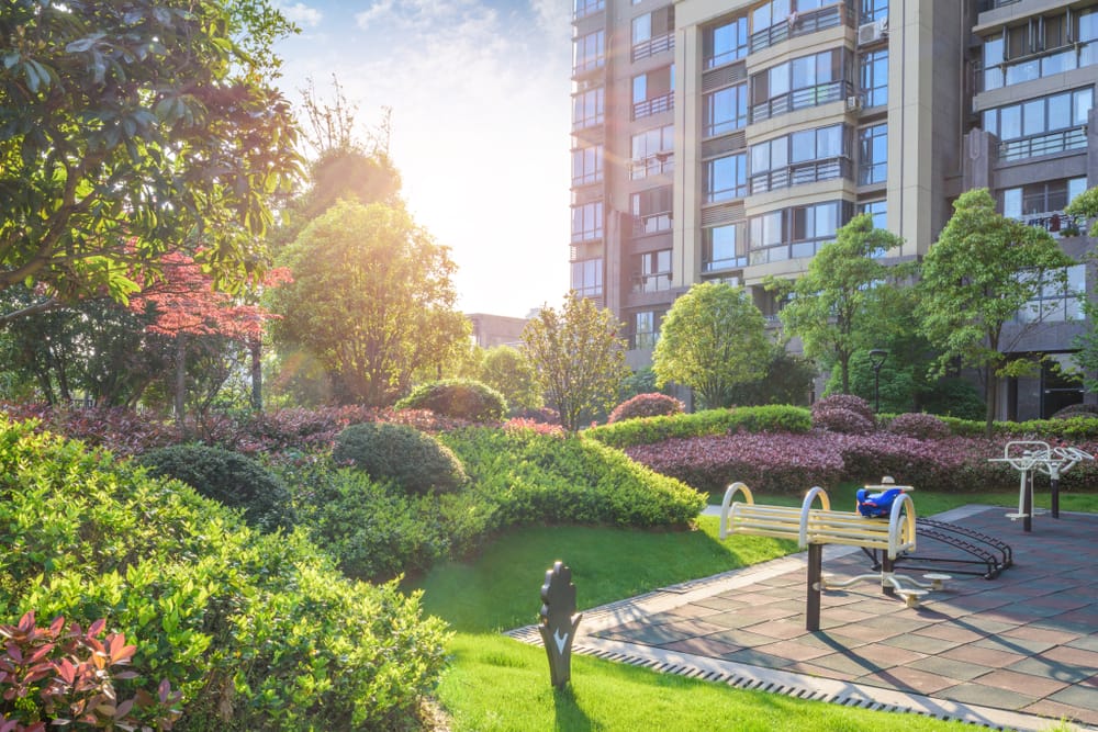 Small trees for small gardens