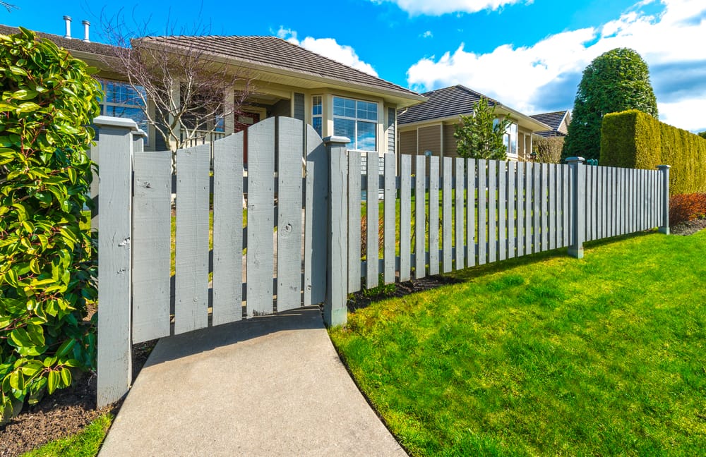 Colorbond vs Timber Fence Cost