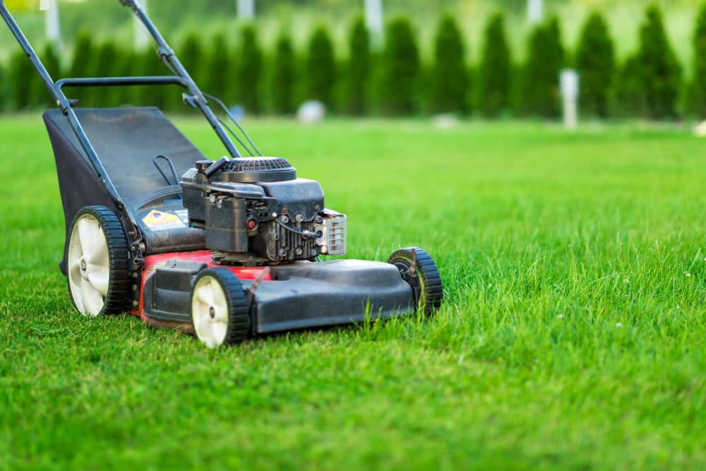 Lawn mowing prices per hour