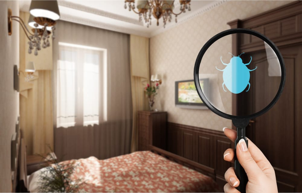 Building and pest inspection cost